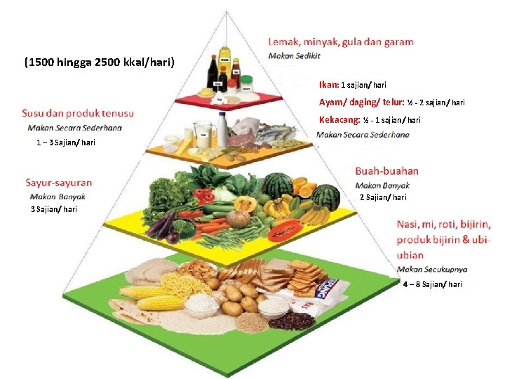 Piramid Makanan Malaysia (1500 hingga 2500 kkal/hari) Ikan: 1 sajian/ hari Ayam/ daging/ telur: