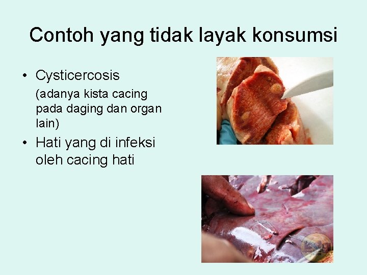 Contoh yang tidak layak konsumsi • Cysticercosis (adanya kista cacing pada daging dan organ