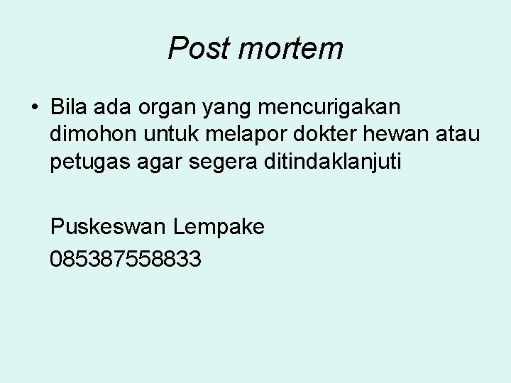 Post mortem • Bila ada organ yang mencurigakan dimohon untuk melapor dokter hewan atau