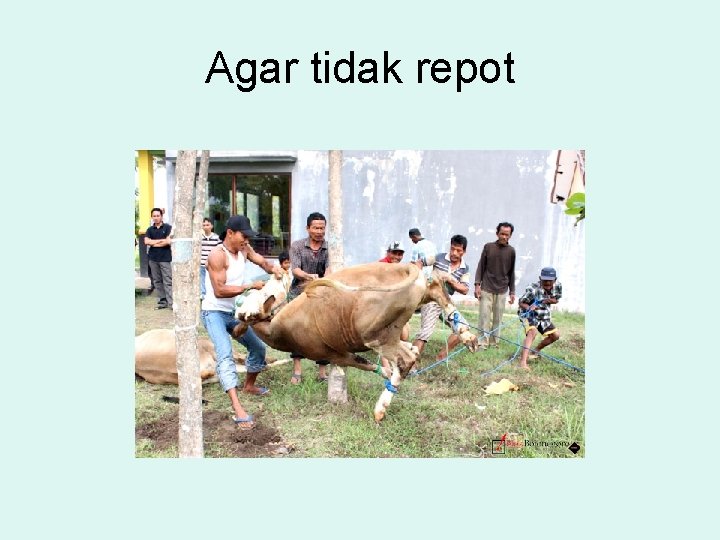 Agar tidak repot 