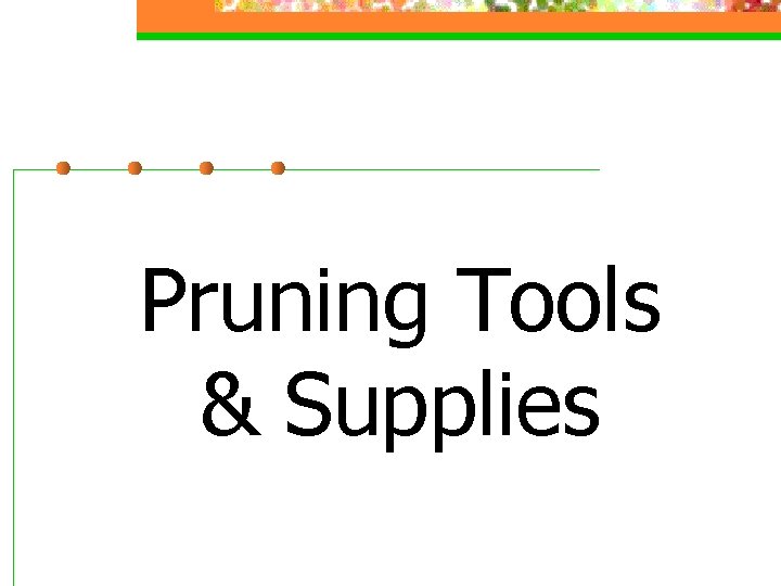 Pruning Tools & Supplies 