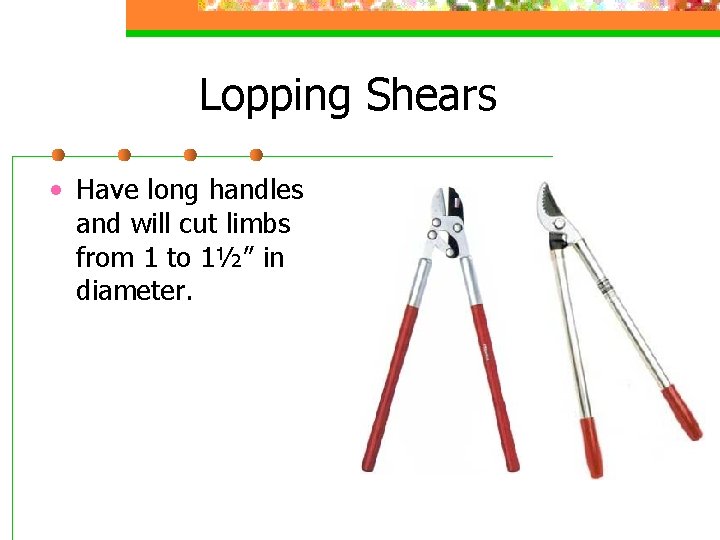 Lopping Shears • Have long handles and will cut limbs from 1 to 1½”