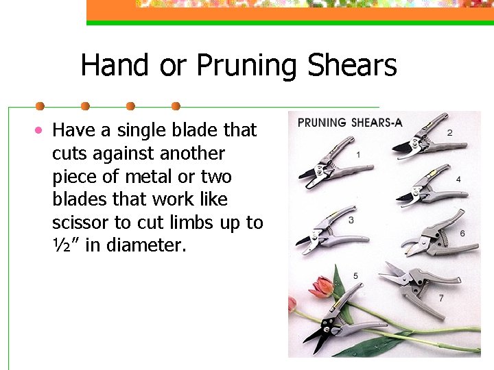 Hand or Pruning Shears • Have a single blade that cuts against another piece