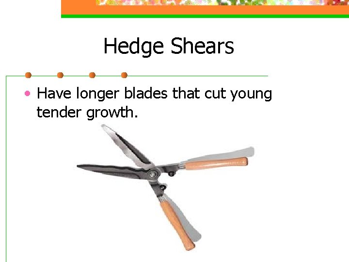 Hedge Shears • Have longer blades that cut young tender growth. 