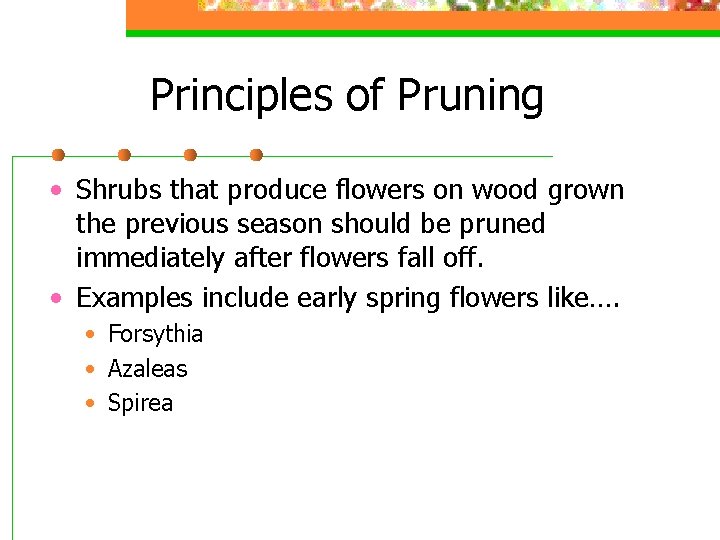 Principles of Pruning • Shrubs that produce flowers on wood grown the previous season
