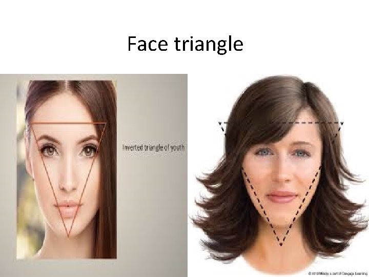 Face triangle 