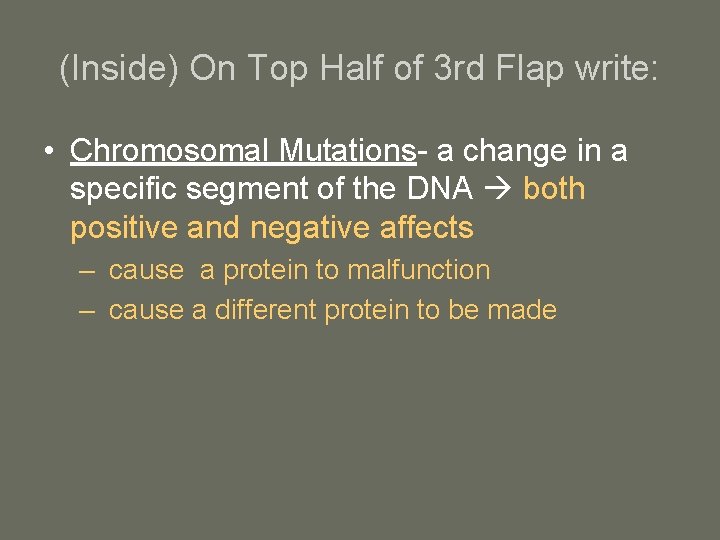(Inside) On Top Half of 3 rd Flap write: • Chromosomal Mutations- a change