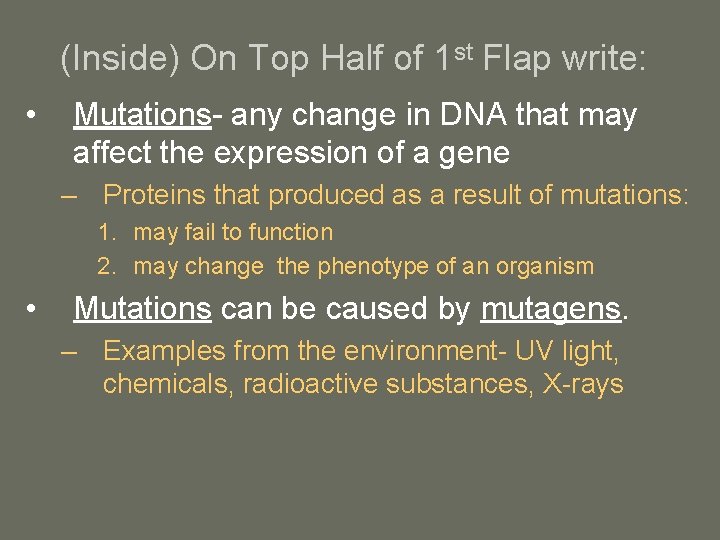 (Inside) On Top Half of 1 st Flap write: • Mutations- any change in