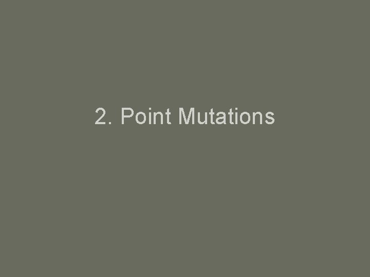 2. Point Mutations 