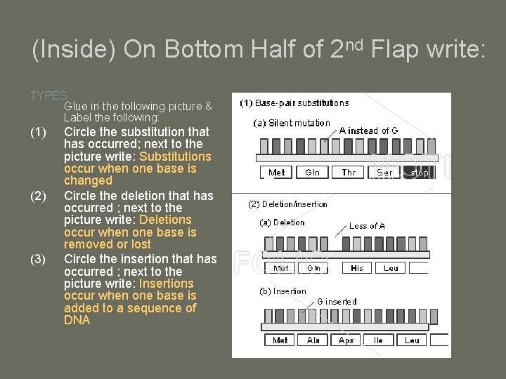 (Inside) On Bottom Half of 2 nd Flap write: TYPES Glue in the following
