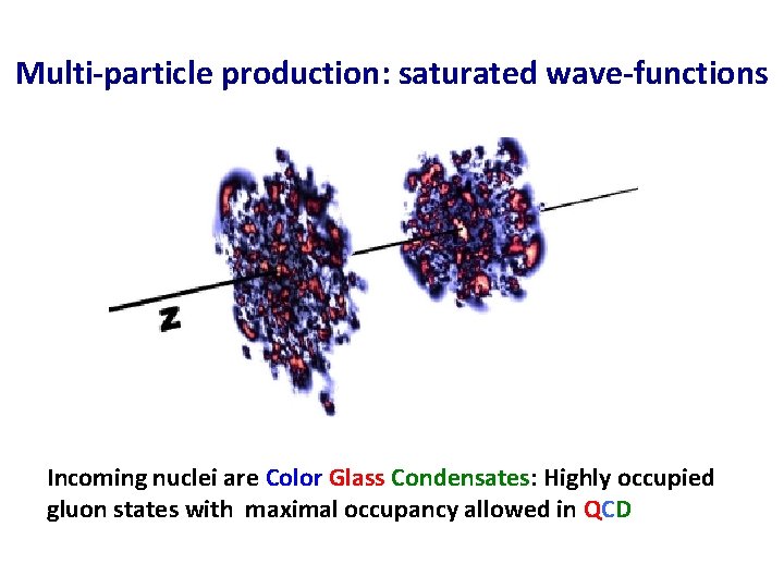 Multi-particle production: saturated wave-functions Incoming nuclei are Color Glass Condensates: Highly occupied gluon states