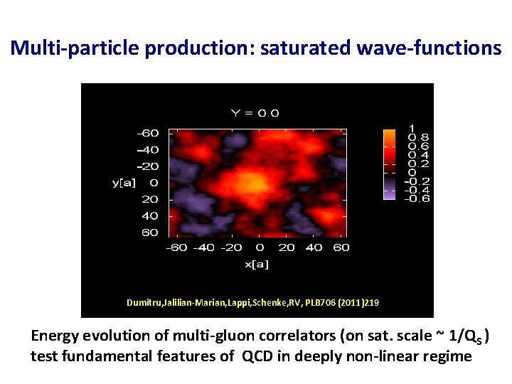 Multi-particle production: saturated wave-functions Dumitru, Jalilian-Marian, Lappi, Schenke, RV, PLB 706 (2011)219 Energy evolution