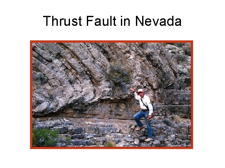 Thrust Fault in Nevada 
