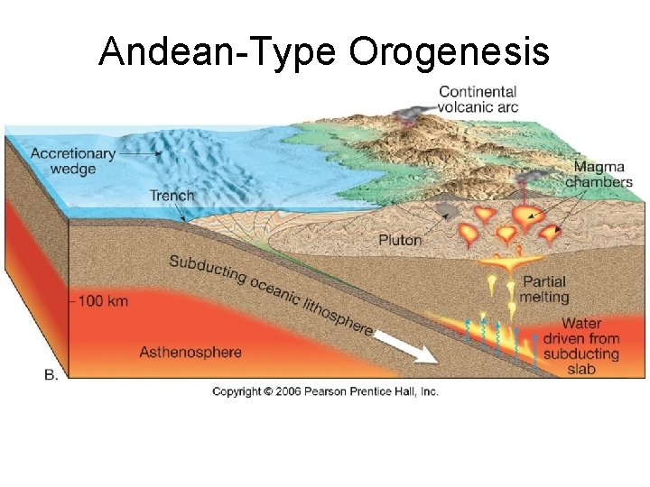 Andean-Type Orogenesis 