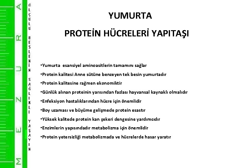 YUMURTA PROTEİN HÜCRELERİ YAPITAŞI • Yumurta esansiyel aminoasitlerin tamamını sağlar • Protein kalitesi Anne