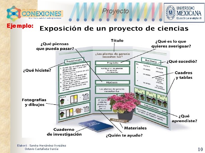 Proyecto Ejemplo: Elaboró : Sandra Hernández González Octavio Castañeda García 10 