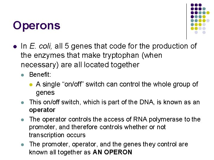 Operons l In E. coli, all 5 genes that code for the production of