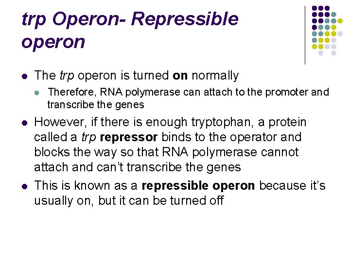 trp Operon- Repressible operon l The trp operon is turned on normally l l