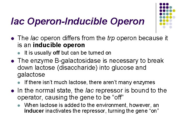lac Operon-Inducible Operon l The lac operon differs from the trp operon because it