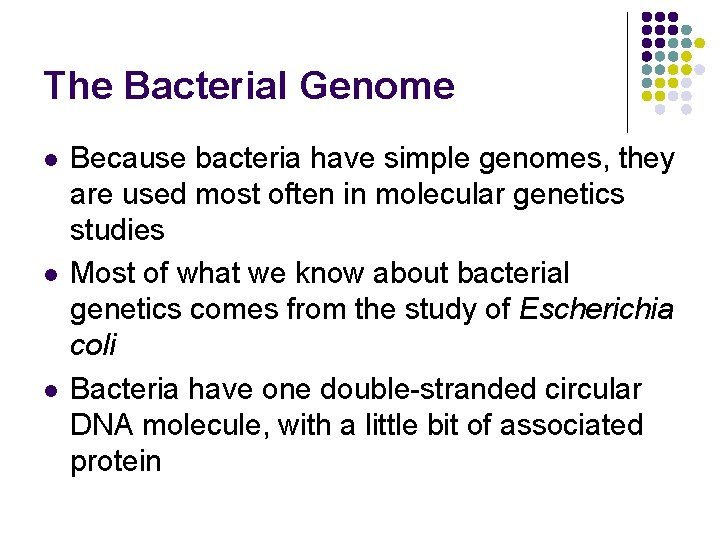 The Bacterial Genome l l l Because bacteria have simple genomes, they are used