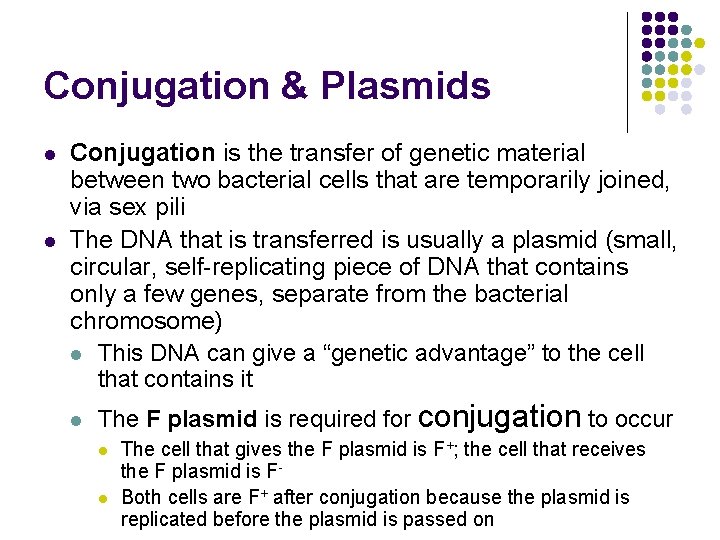 Conjugation & Plasmids l l Conjugation is the transfer of genetic material between two
