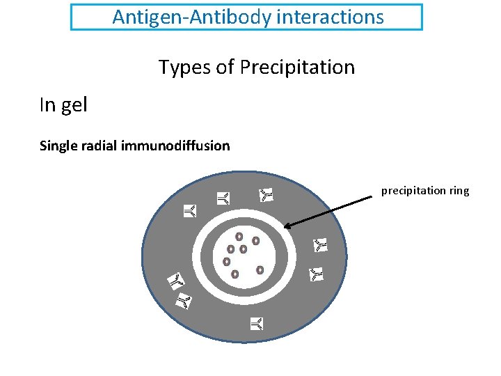 Antigen-Antibody interactions Types of Precipitation In gel Single radial immunodiffusion precipitation ring 