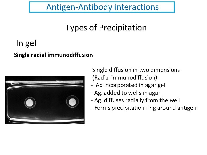 In vitro antigen antibody reactions Dr Mohammad Odibate
