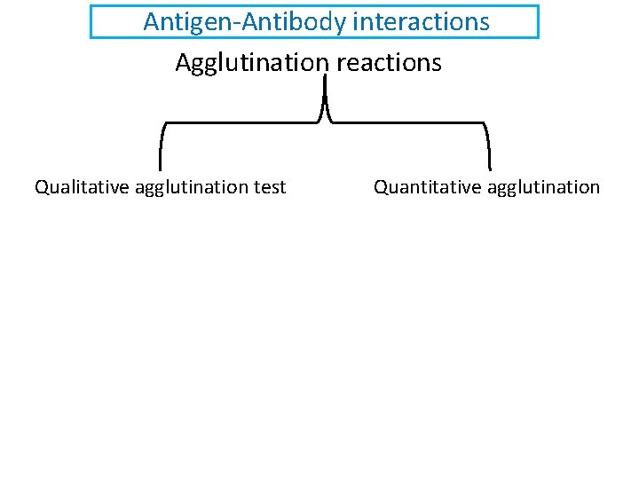 Antigen-Antibody interactions Agglutination reactions Qualitative agglutination test Quantitative agglutination 
