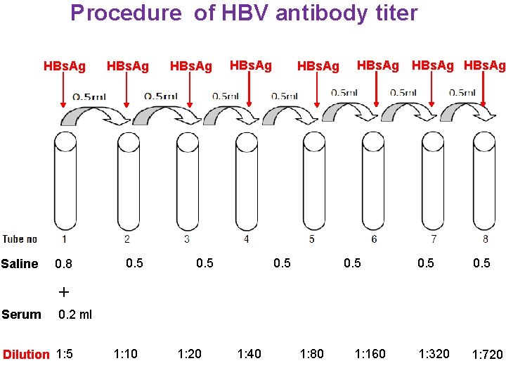 Procedure of HBV antibody titer HBs. Ag Saline 0. 8 HBs. Ag 0. 5