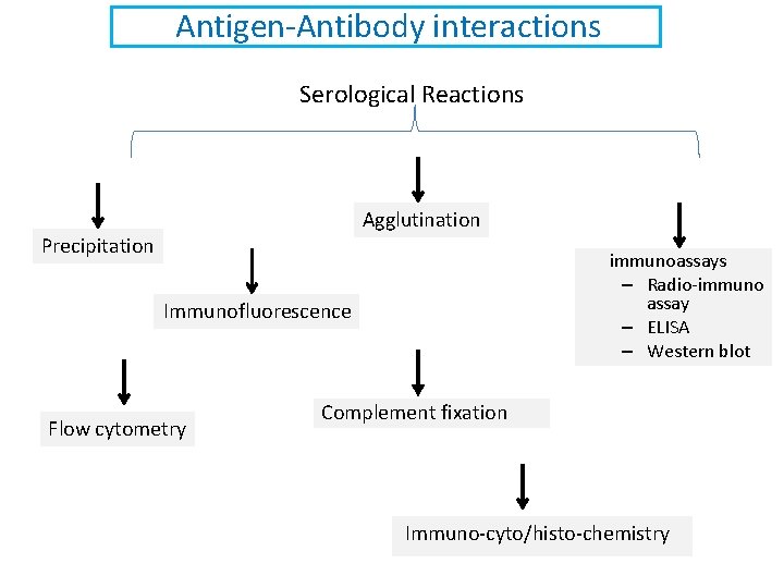 Antigen-Antibody interactions Serological Reactions Agglutination Precipitation immunoassays – Radio-immuno assay – ELISA – Western