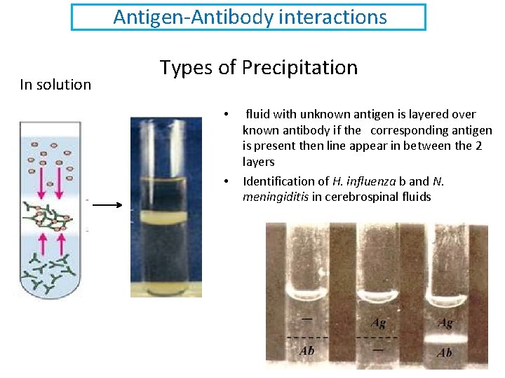 Antigen-Antibody interactions In solution Types of Precipitation • • fluid with unknown antigen is