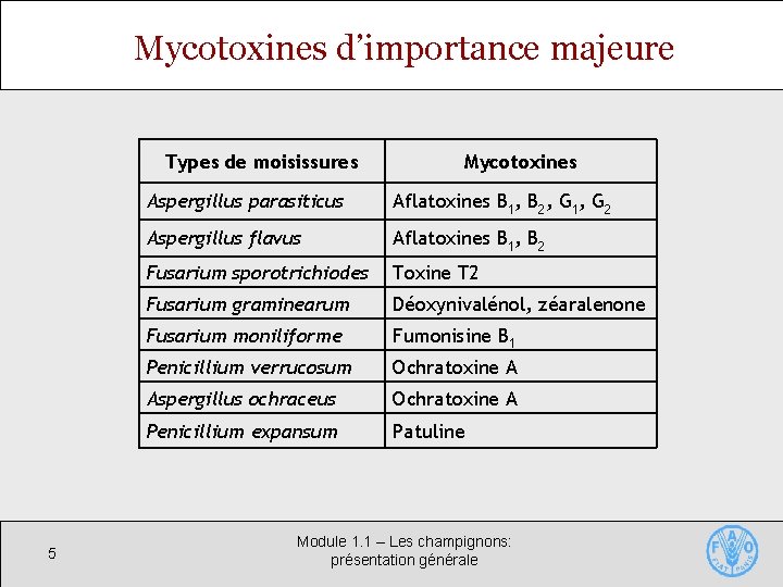 Mycotoxines d’importance majeure Types de moisissures 5 Mycotoxines Aspergillus parasiticus Aflatoxines B 1, B