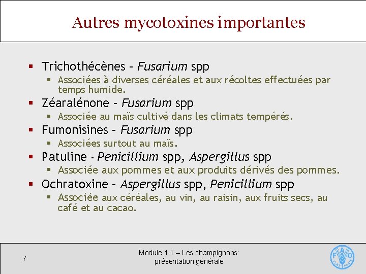Autres mycotoxines importantes § Trichothécènes – Fusarium spp § Associées à diverses céréales et