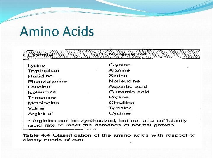 Amino Acids 