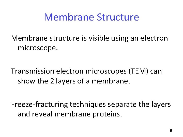 Membrane Structure Membrane structure is visible using an electron microscope. Transmission electron microscopes (TEM)