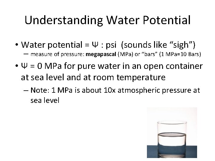 Understanding Water Potential • Water potential = Ψ : psi (sounds like “sigh”) –