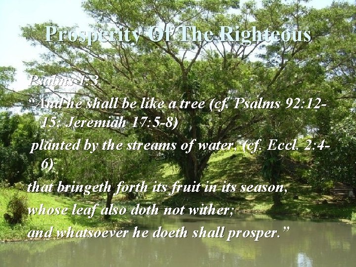 Prosperity Of The Righteous Psalms 1: 3 “And he shall be like a tree