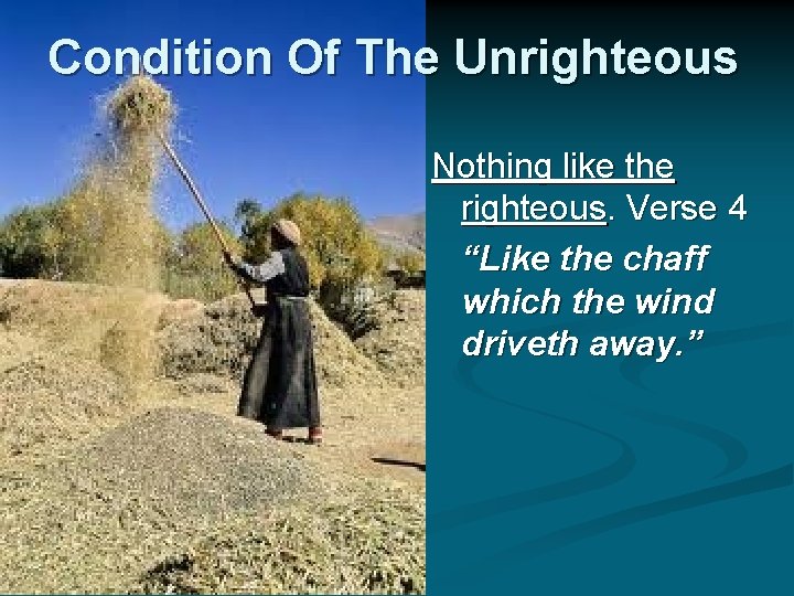 Condition Of The Unrighteous Nothing like the righteous. Verse 4 “Like the chaff which