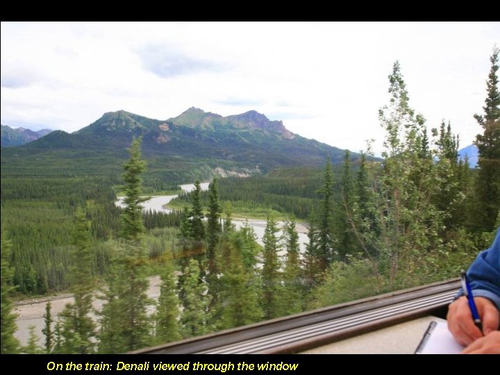 On the train: Denali viewed through the window 