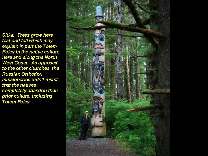Sitka: Trees grow here fast and tall which may explain in part the Totem