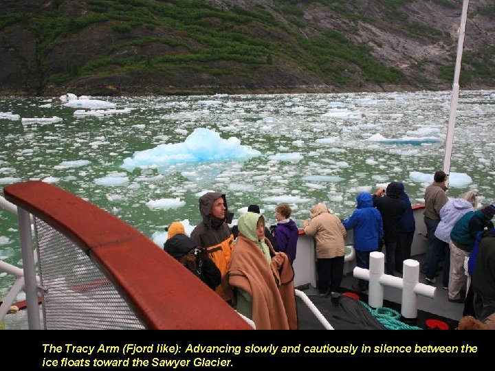 The Tracy Arm (Fjord like): Advancing slowly and cautiously in silence between the ice