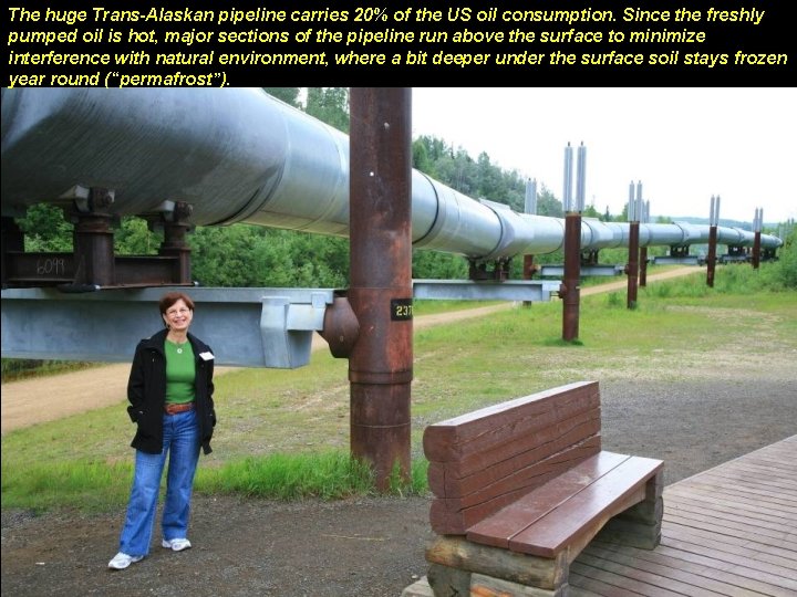 The huge Trans-Alaskan pipeline carries 20% of the US oil consumption. Since the freshly