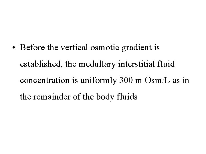  • Before the vertical osmotic gradient is established, the medullary interstitial fluid concentration