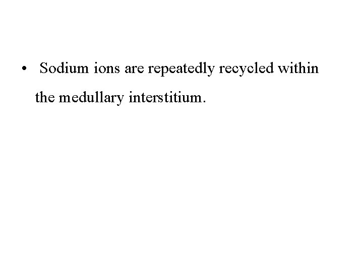  • Sodium ions are repeatedly recycled within the medullary interstitium. 
