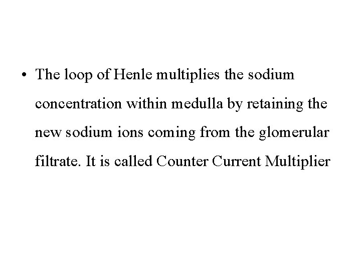 • The loop of Henle multiplies the sodium concentration within medulla by retaining