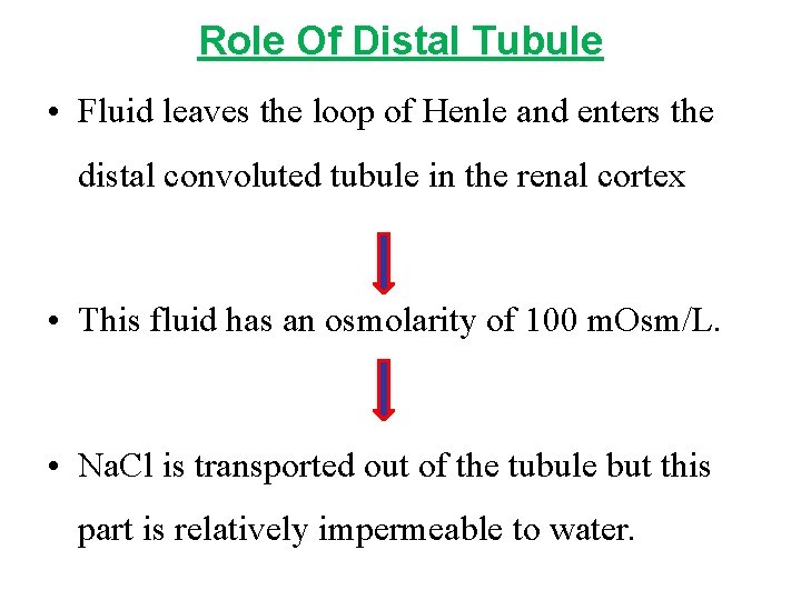 Role Of Distal Tubule • Fluid leaves the loop of Henle and enters the