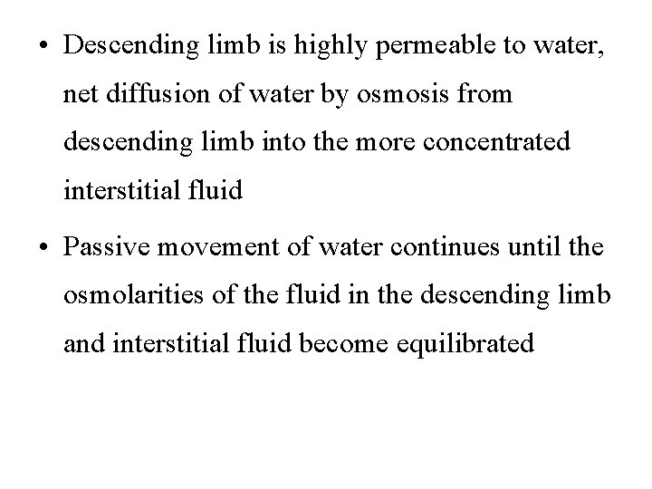  • Descending limb is highly permeable to water, net diffusion of water by