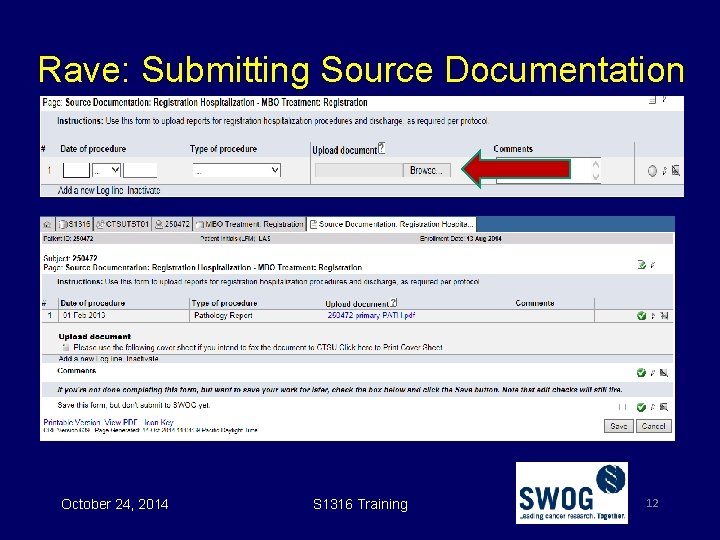 Rave: Submitting Source Documentation October 24, 2014 S 1316 Training 12 