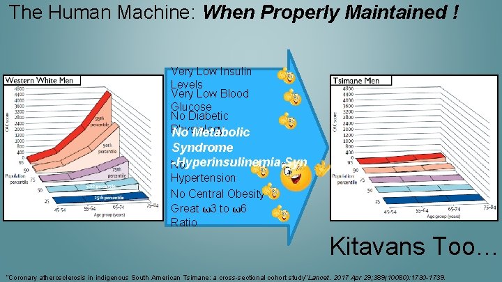 The Human Machine: When Properly Maintained ! Very Low Insulin Levels Very Low Blood