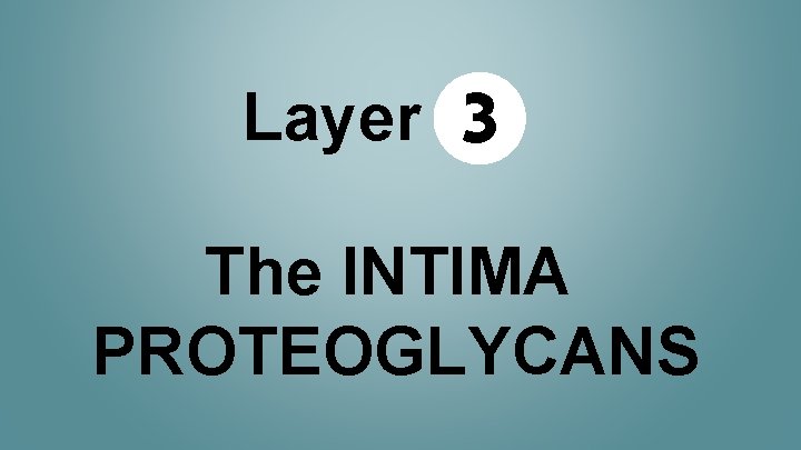 Layer 3 The INTIMA PROTEOGLYCANS 